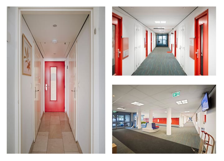 Foto 4 van Loolaan 41-167