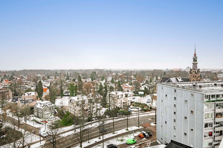 Foto 8 van Loolaan 41-167