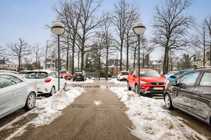 Foto 18 van Loolaan 41-167