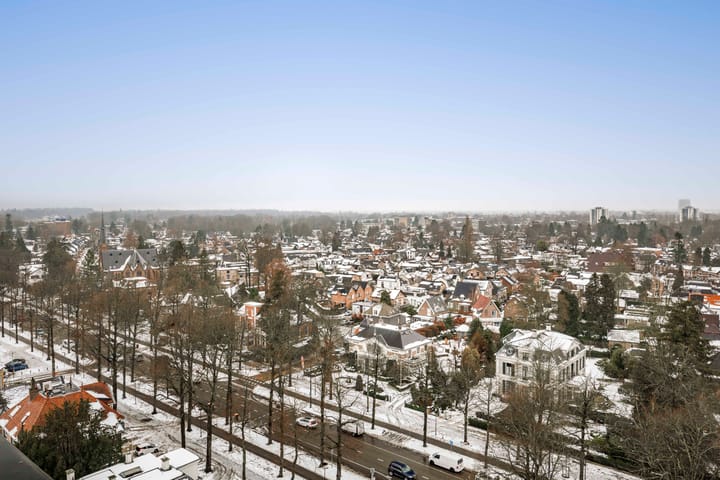 Foto 7 van Loolaan 41-167