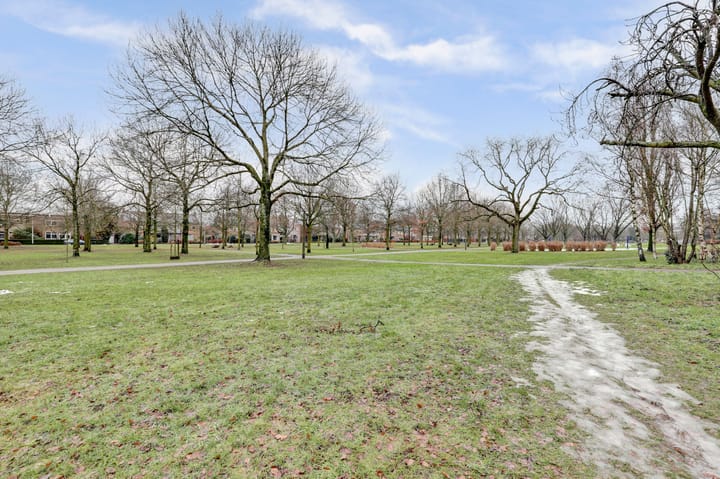 Foto 38 van Venusstraat 6