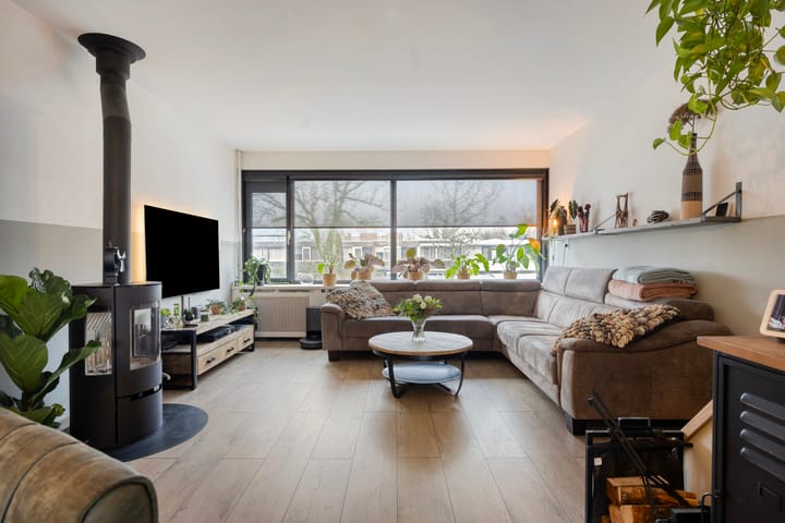 Foto 2 van Zilverdistel 21