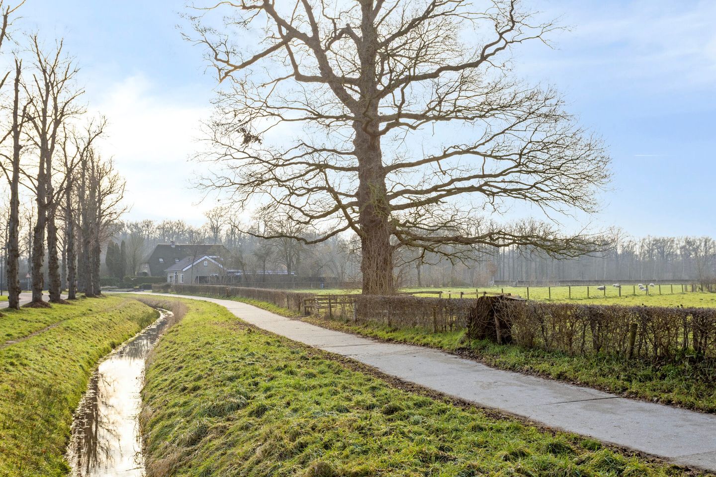 Foto 34 van Vennemanshoek 5