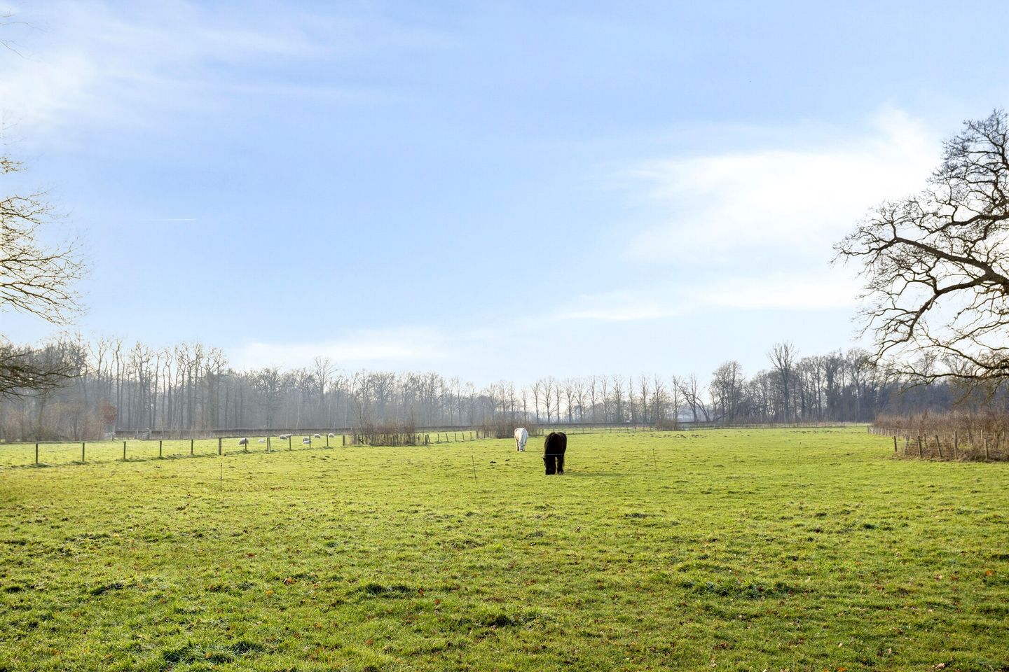 Foto 35 van Vennemanshoek 5