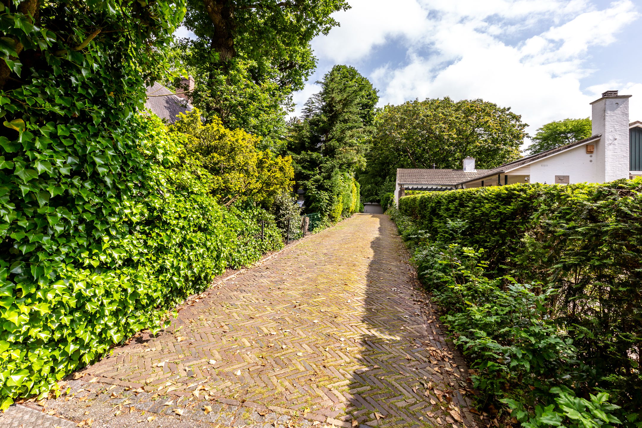 Photo 3 of Herenweg 50