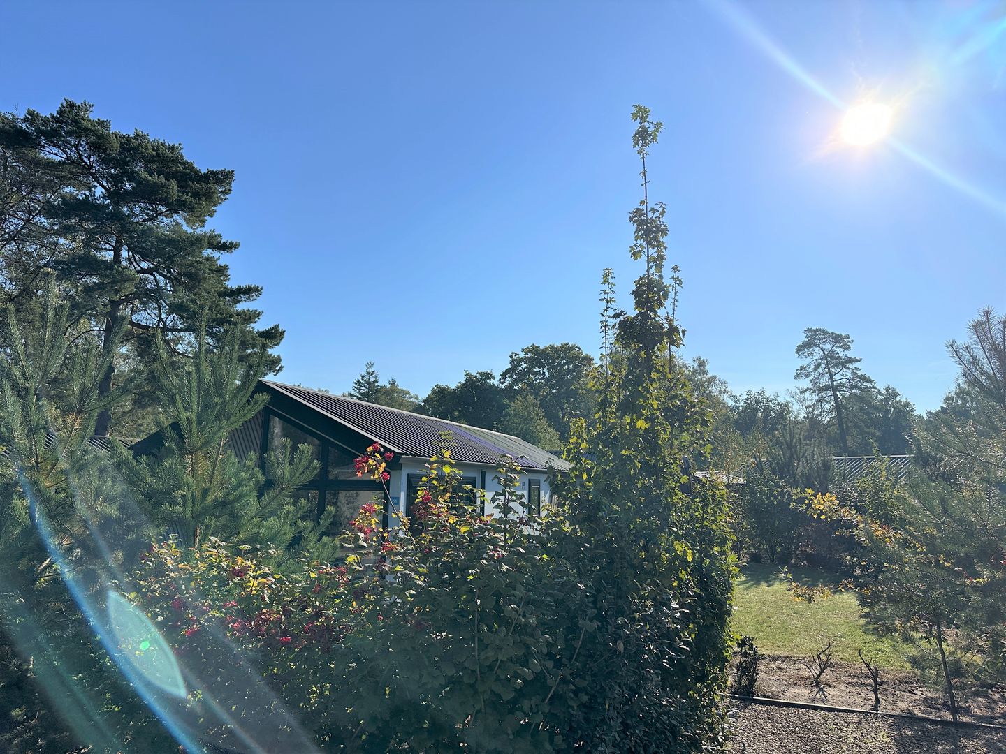 Foto 14 van Koningsweg 14-V58