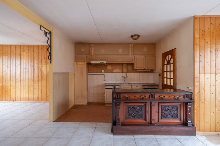 Foto 4 van Gossepalen 1