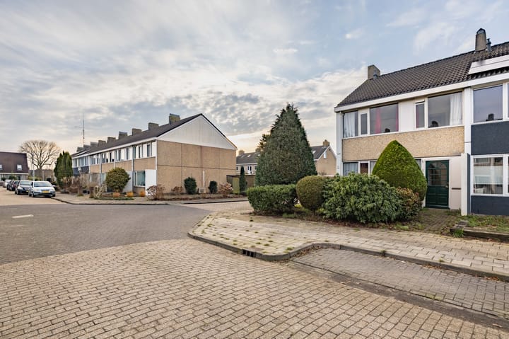 Foto 8 van Gossepalen 1