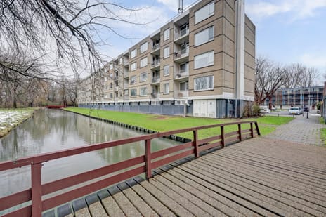 Bosseplaat thumbnail