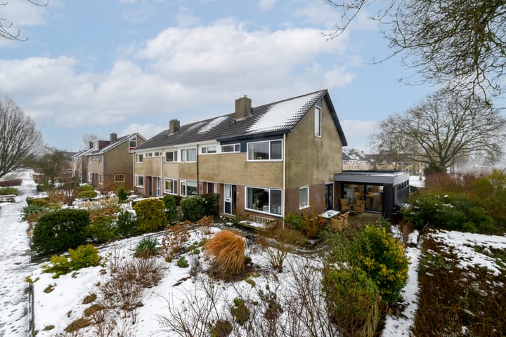 Zwette 16 main image