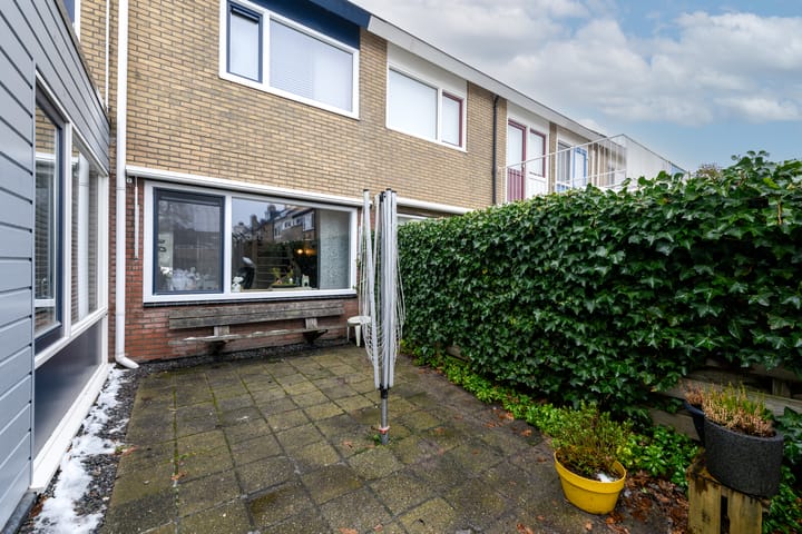 Foto 33 van Zwette 16