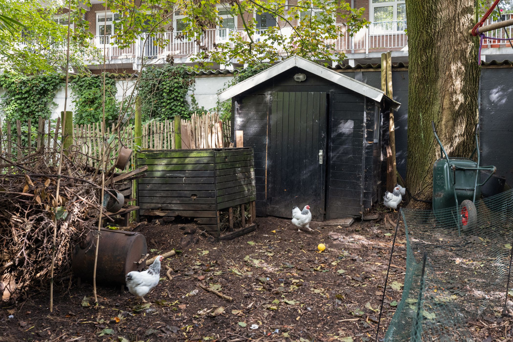 Foto 42 van Mathenesserlaan 459