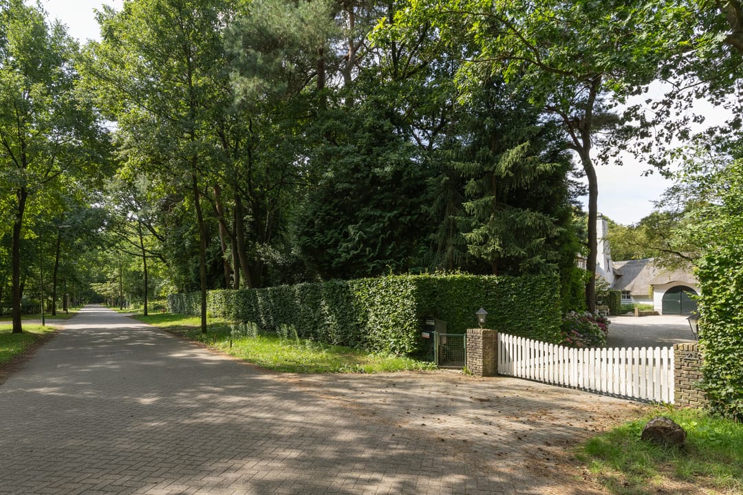 Foto 68 van De Hooghlaan 25