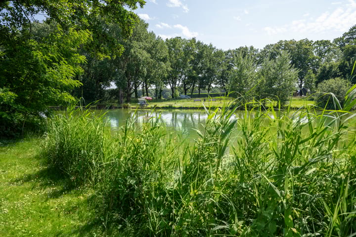 Foto 34 van De Strubben 46