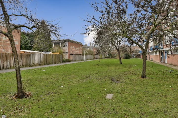 Foto 16 van Bachstraat 10