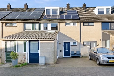 Coppenolstraat thumbnail