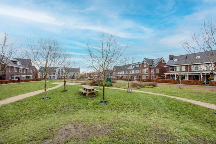 Foto 49 van Brink 11