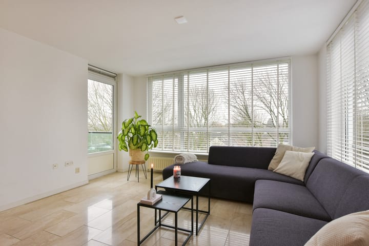 Photo 4 of Weegbree 105