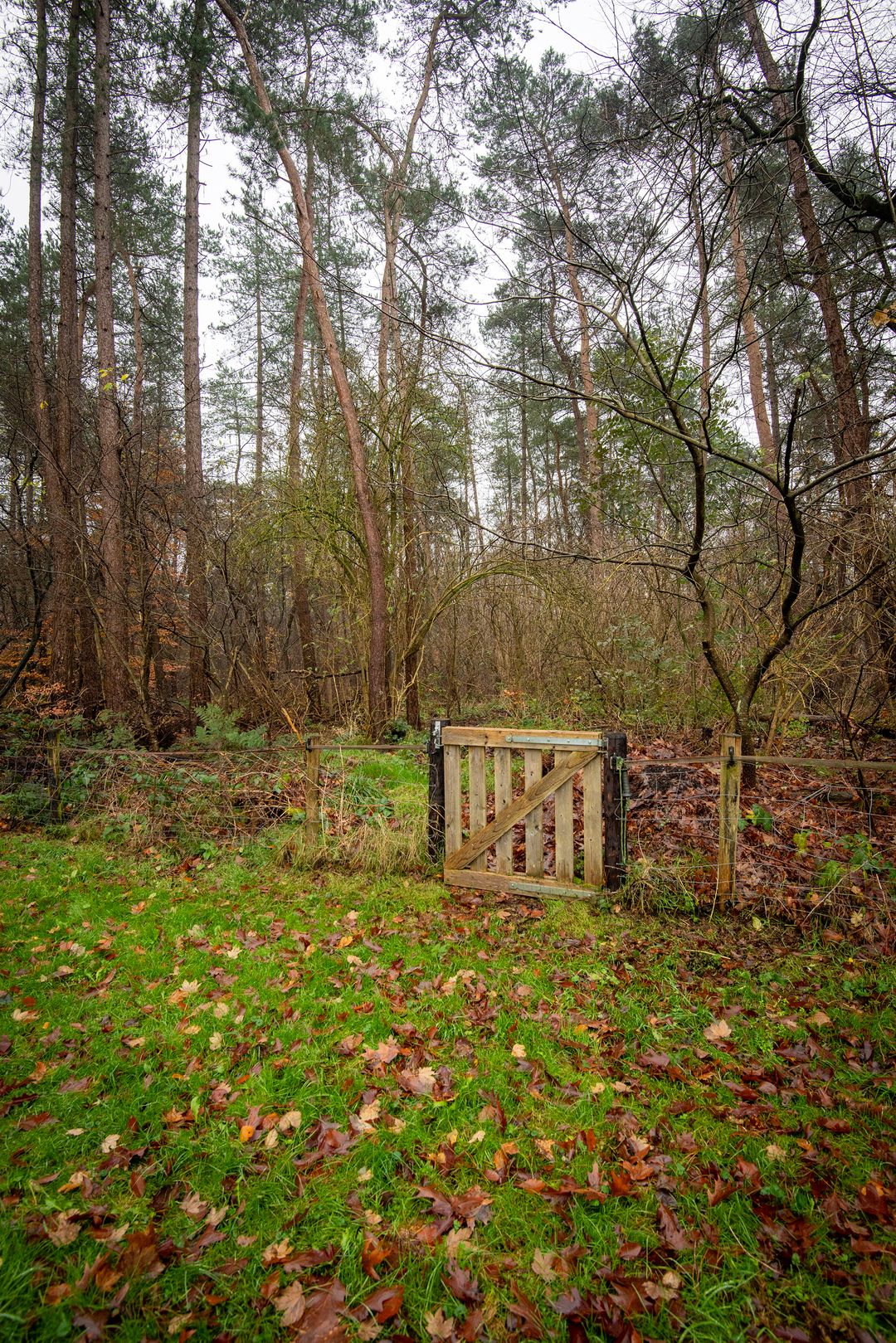 Foto 32 van Bato'sweg 12