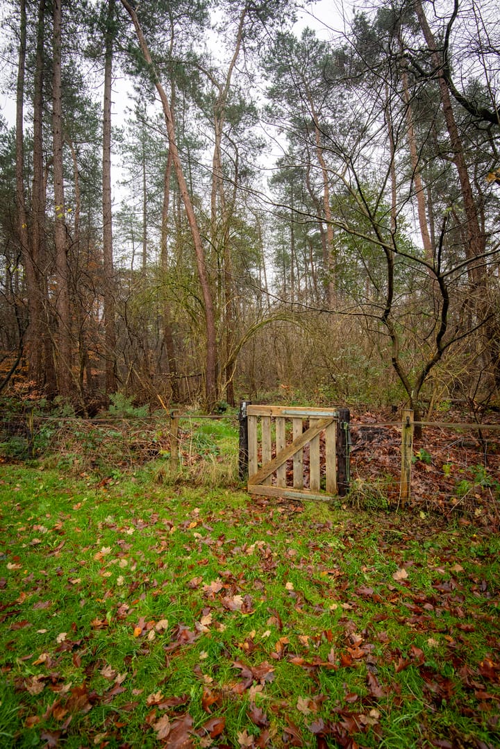 Foto 32 van Bato'sweg 12