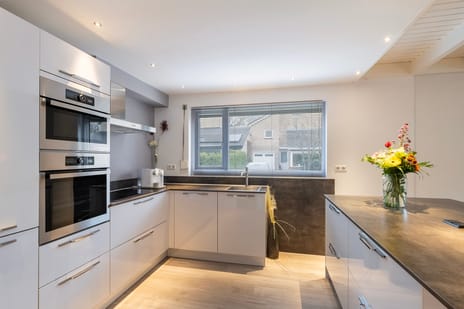 Hagedoorn 20 tertiary image