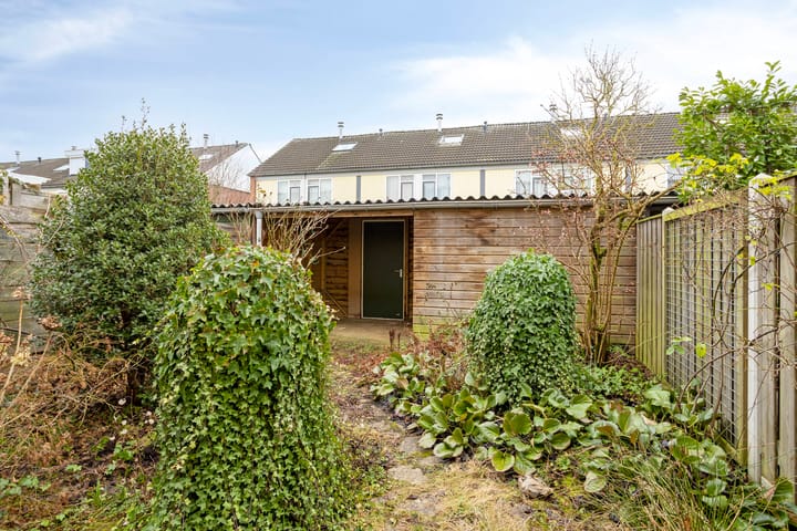 Foto 22 van Paulus Potterstraat 47