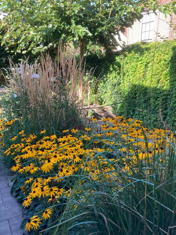 Foto 37 van Sint Domusstraat 60