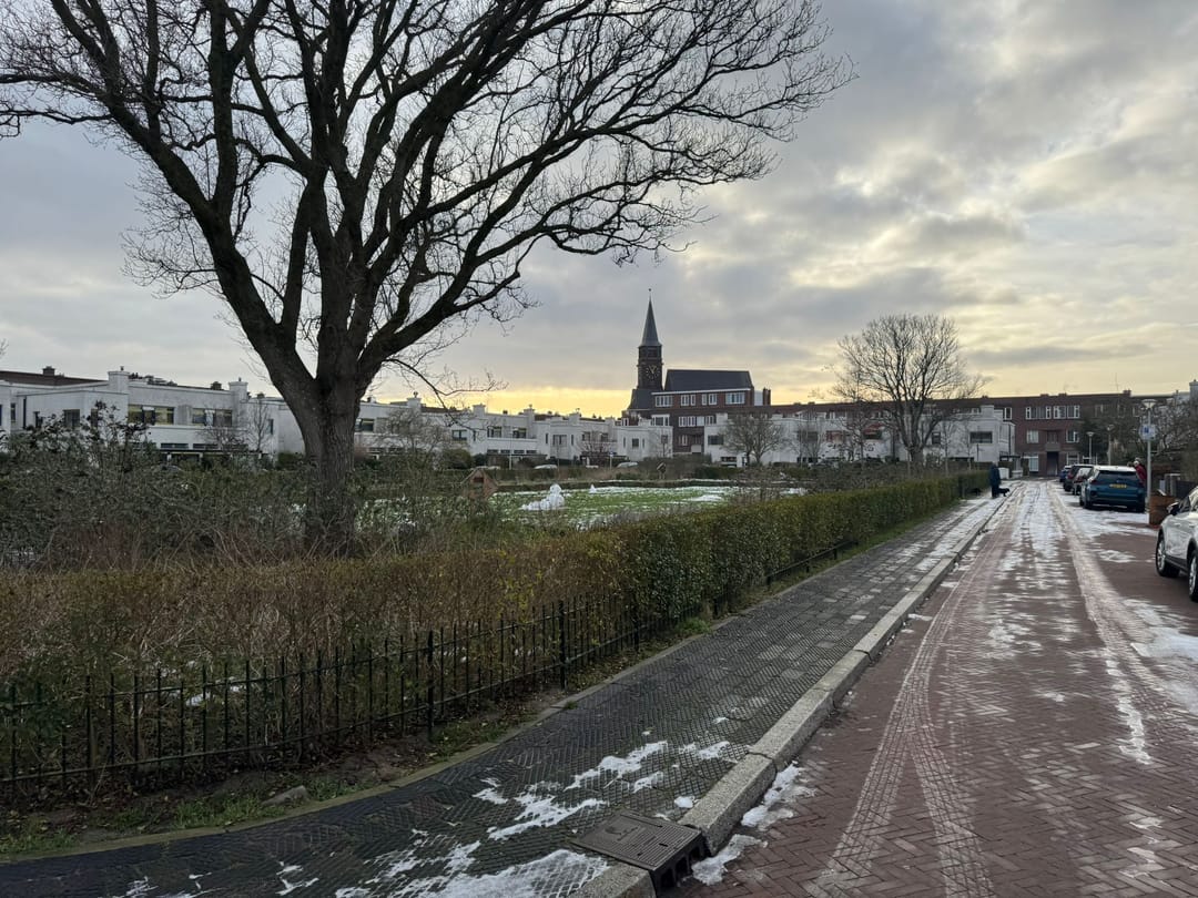 Foto 2 van Papaverhof 9