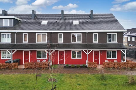 Willis Lambstraat thumbnail