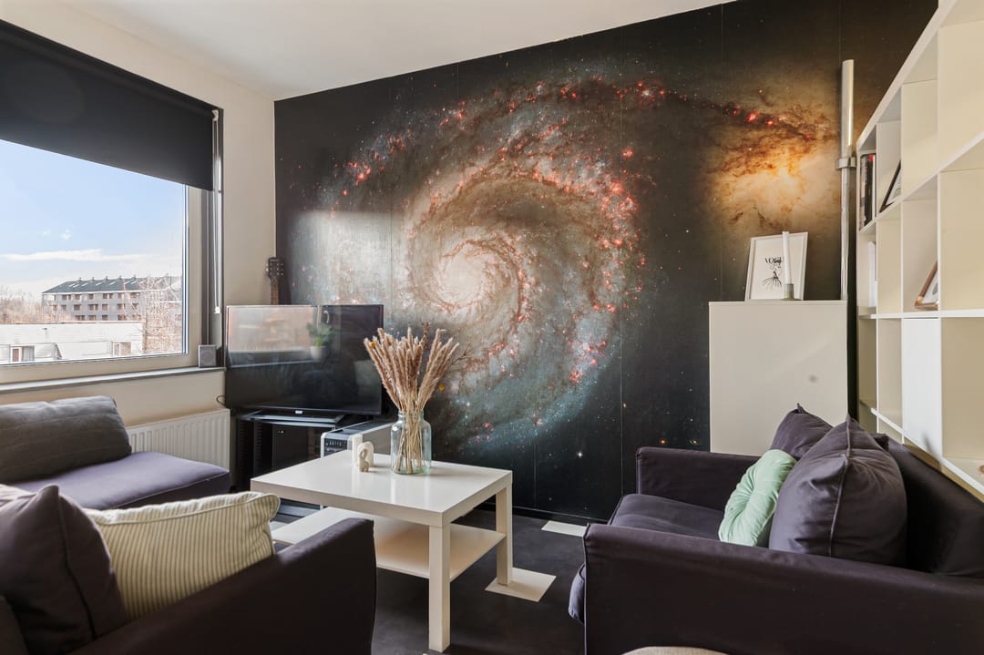 Foto 8 van Rottumeroog 188