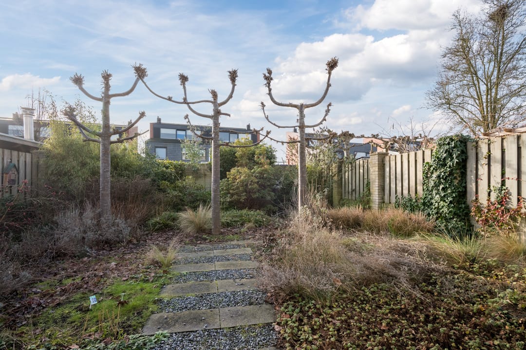 Foto 28 van Clara Wichmannstraat 7