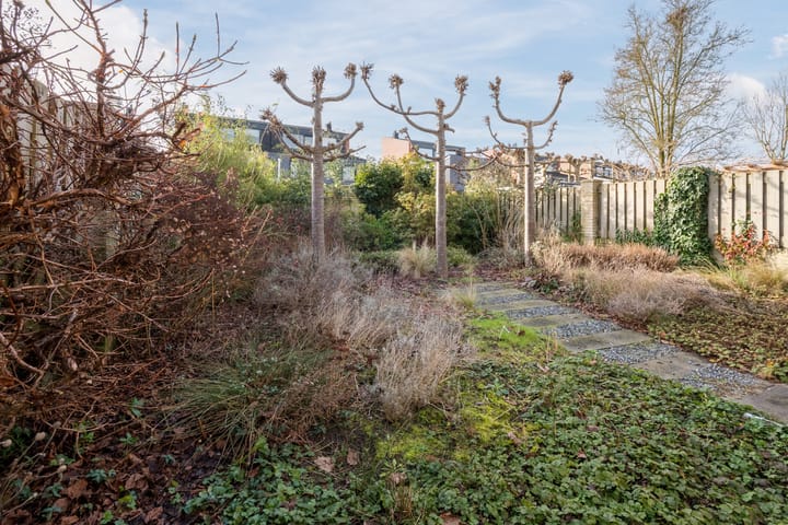 Foto 32 van Clara Wichmannstraat 7