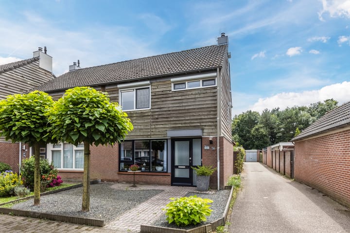 Foto 2 van Kardinaalsmuts 16