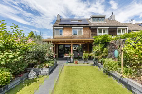 Kardinaalsmuts thumbnail