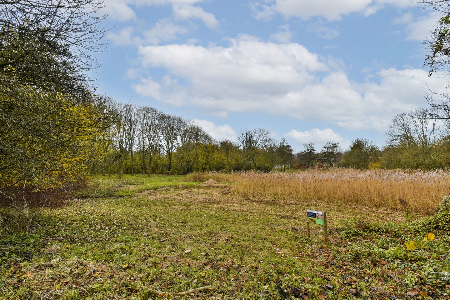 Foto 25 van Jisperveldstraat 213