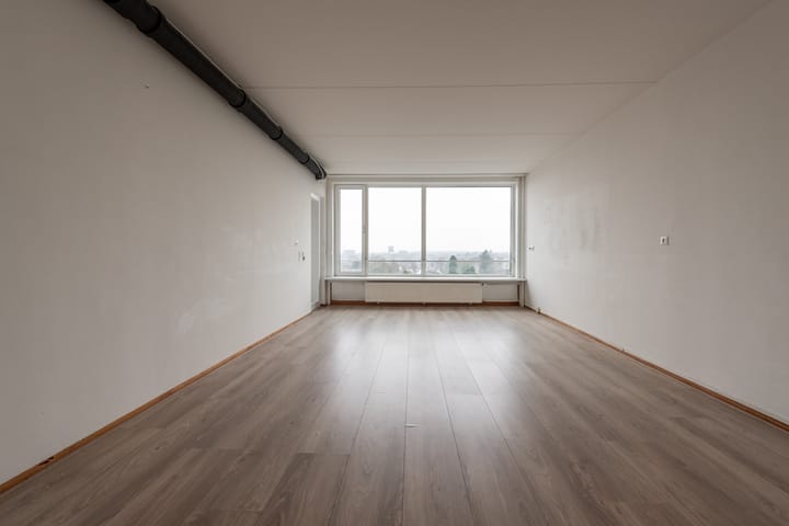 Foto 12 van Loolaan 41-131