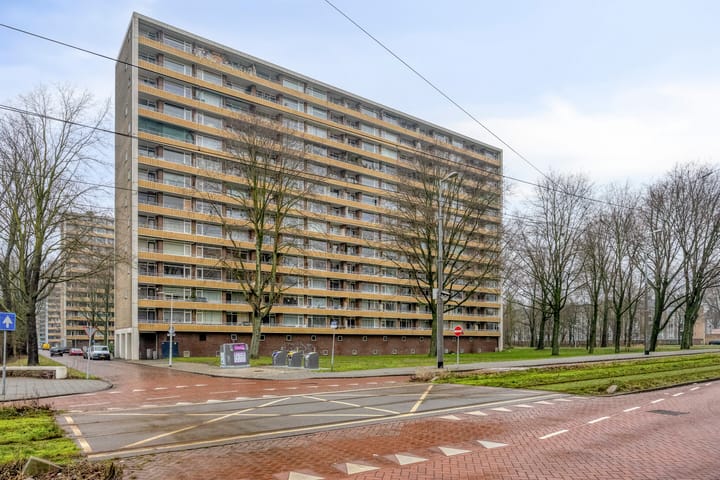 Foto 16 van Langswater 455