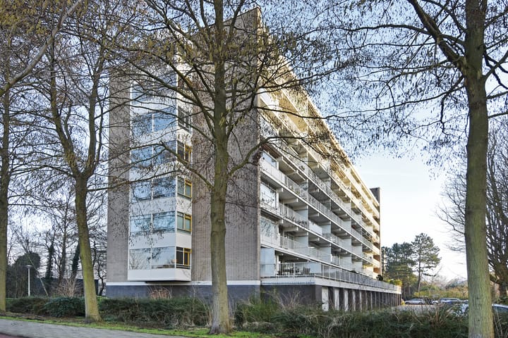 Photo 5 of Suzannaland 606