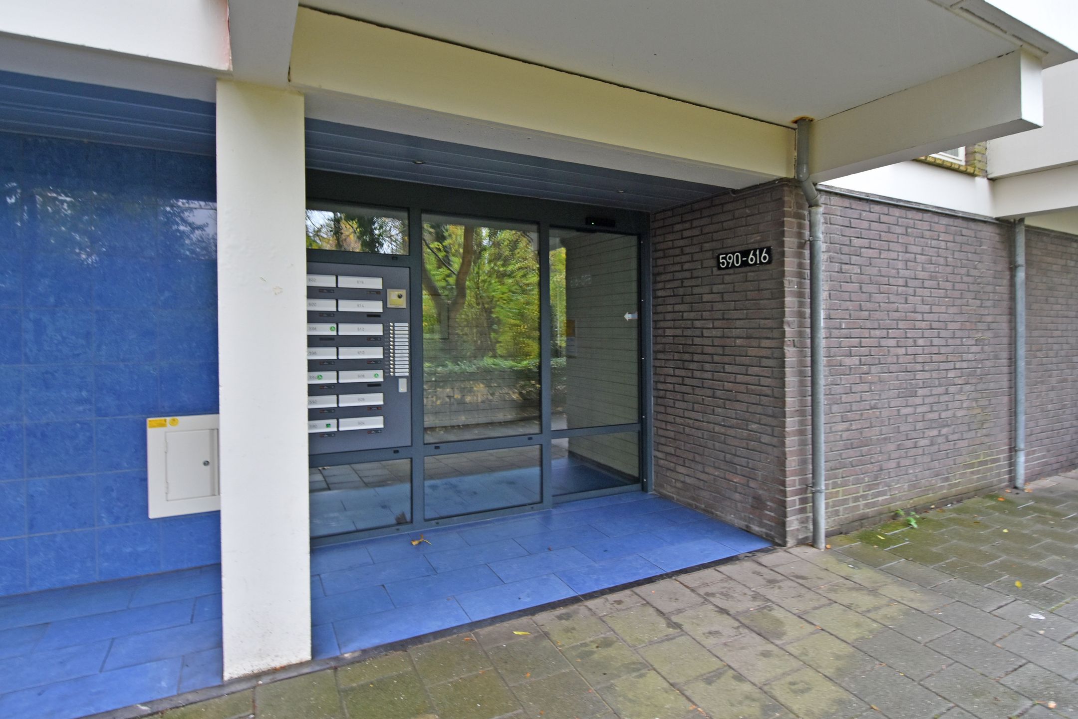 Photo 6 of Suzannaland 606