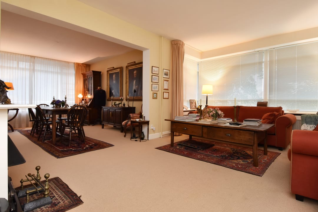 Photo 11 of Suzannaland 606