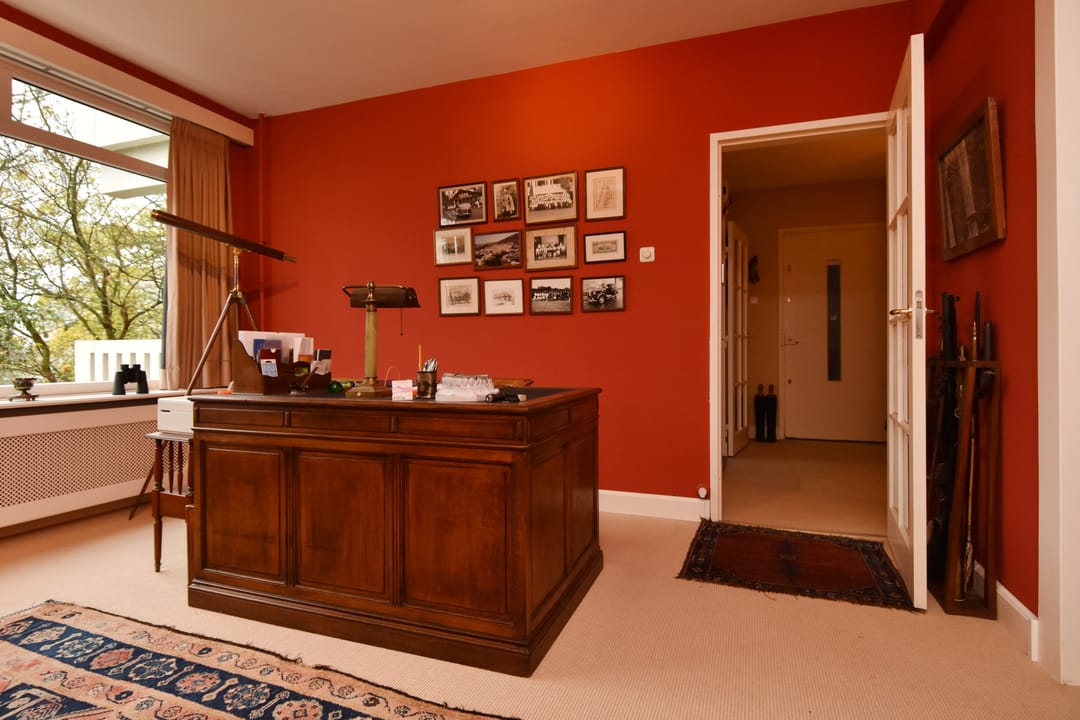 Photo 16 of Suzannaland 606