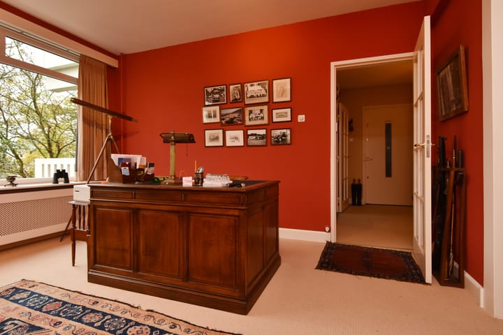 Photo 16 of Suzannaland 606