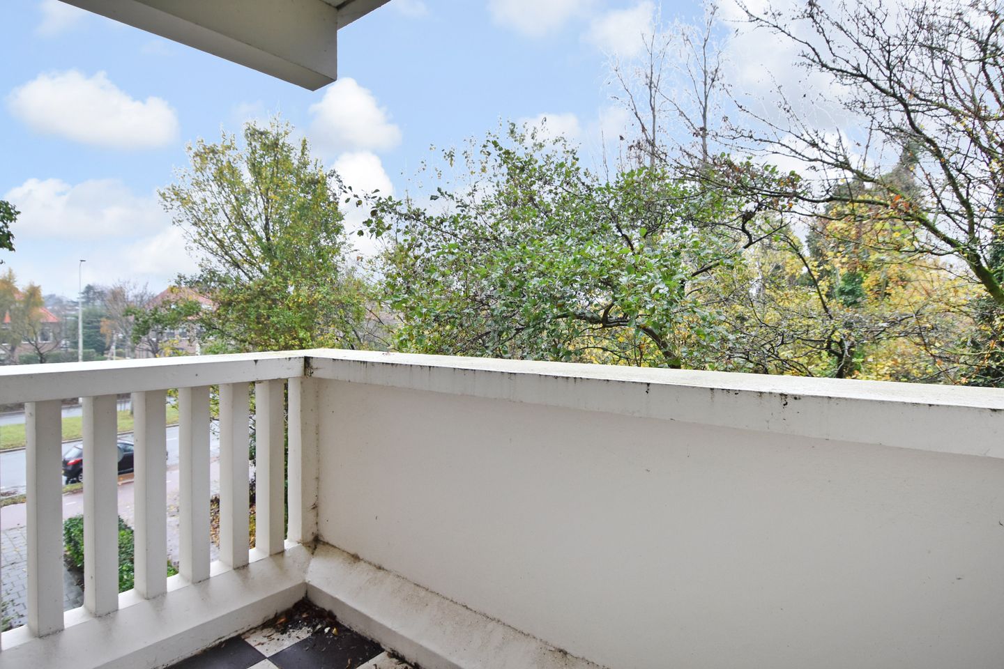 Photo 19 of Suzannaland 606