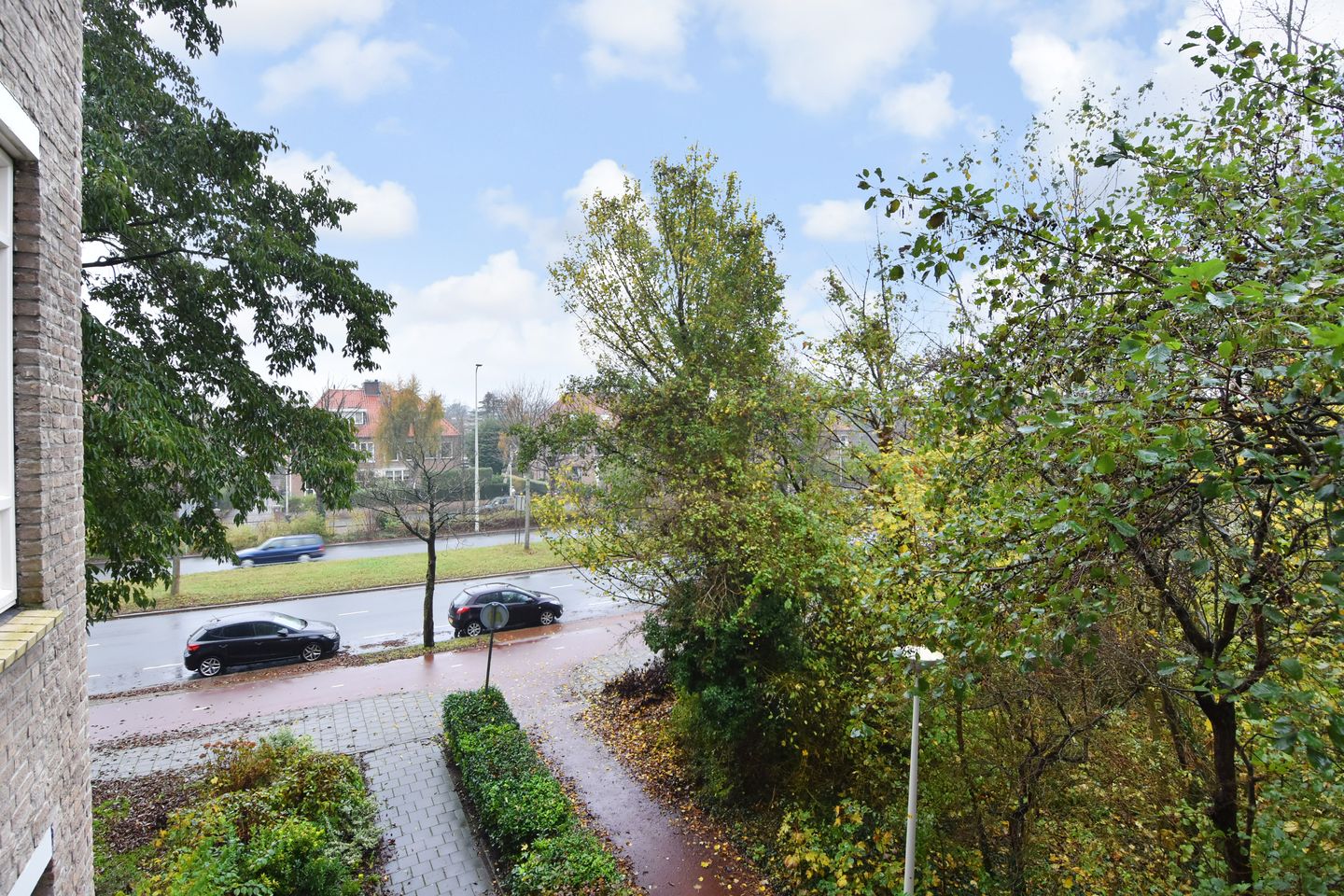 Photo 20 of Suzannaland 606