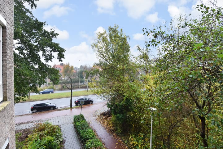 Photo 20 of Suzannaland 606