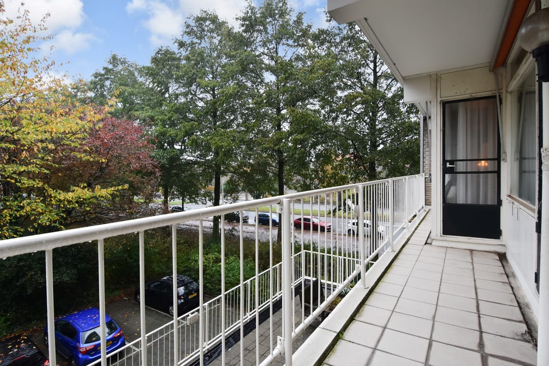 Photo 28 of Suzannaland 606