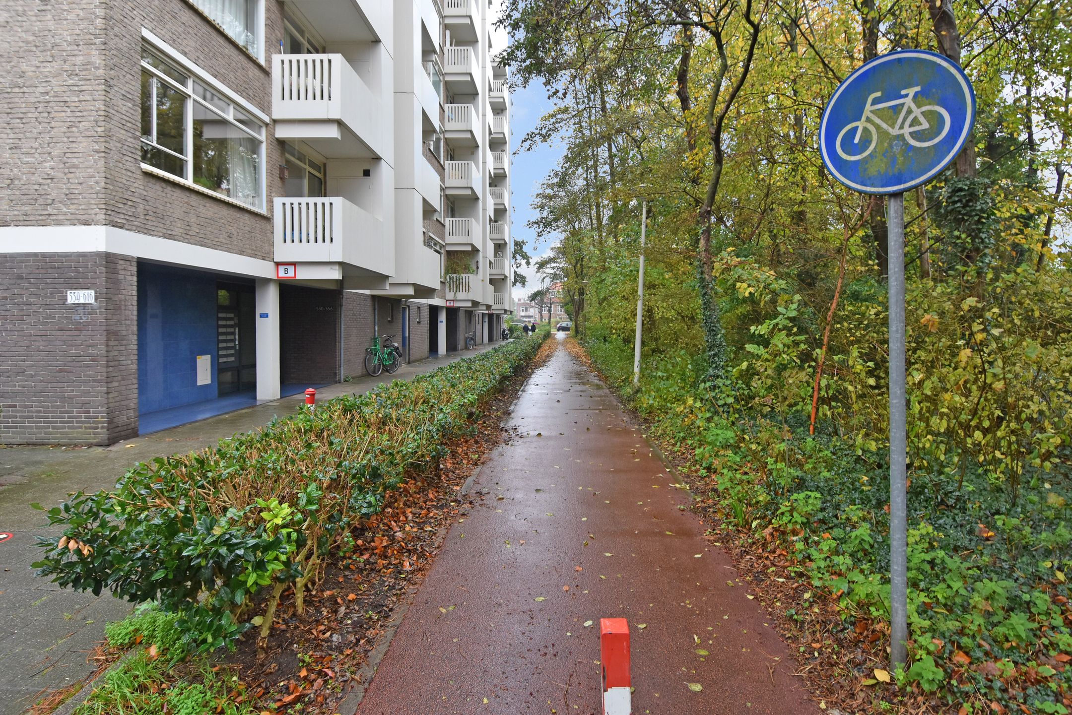 Photo 30 of Suzannaland 606