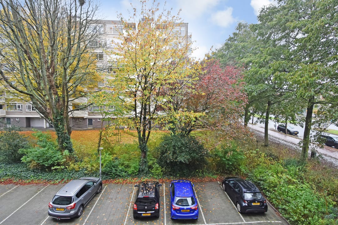 Photo 31 of Suzannaland 606