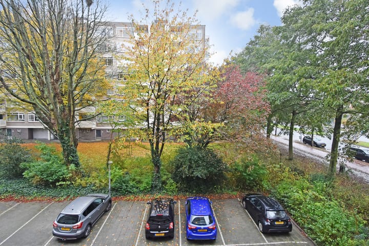 Photo 31 of Suzannaland 606