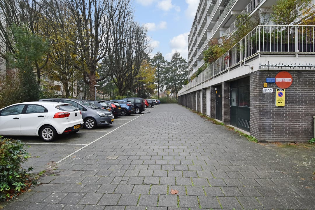 Photo 32 of Suzannaland 606